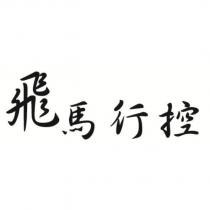飛馬行控