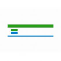 Two Bars and Two Lines COLOR DEVICE MARK