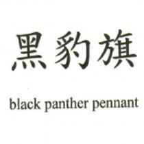 黑豹旗 black panther pennant