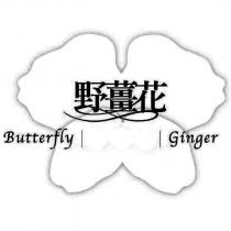Butterfly Ginger 野薑花及圖