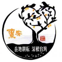 棗安及圖