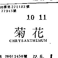 菊花 CHRYSANTHEMUM 