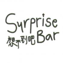 想不到吧 Surprise Bar