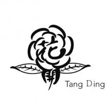 花開 Tang Ding 及圖
