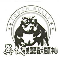異域 TOUCH BULLY 及圖