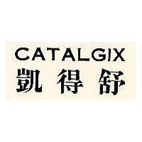 凱得舒 CATALGIX