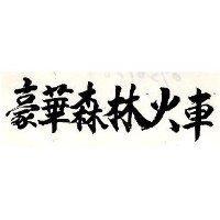 豪華森林火車