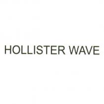 HOLLISTER WAVE
