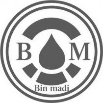 Bin madi 及其設計圖