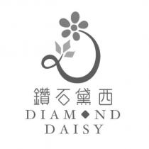 鑽石黛西 DIAMOND DAISY 及圖