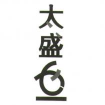 太盛 16 設計圖