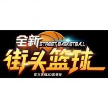 全新 STREET BASKETBALL 街頭籃球 官方正版 3D 真競技及圖