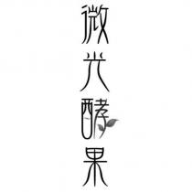 微光酵果