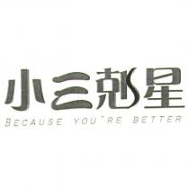 小三剋星 BECAUSE YOU' RE BETTER