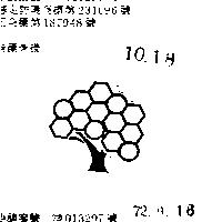 樹形圖