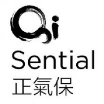 正氣保 Sential 及圖