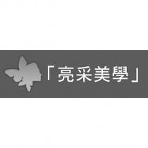 亮采美學及圖