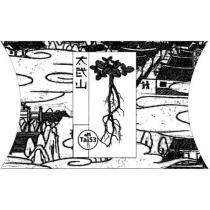 太武山 Tai53 及圖