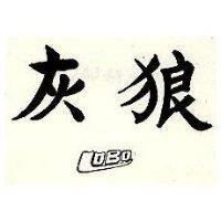 灰狼 LOBO