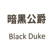 暗黑公爵 Black Duke