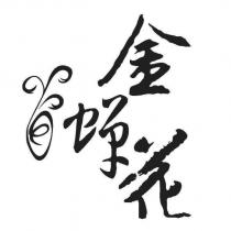 金蟬花及圖