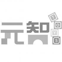 元智 TOYS