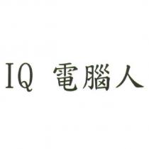 IQ 電腦人