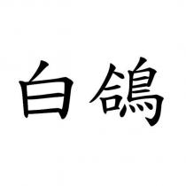 白鴿