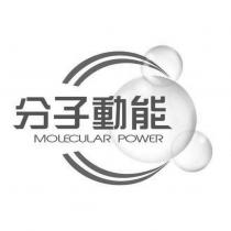 分子動能 MOLECULAR POWER 及圖