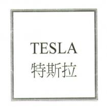 特斯拉 TESLA