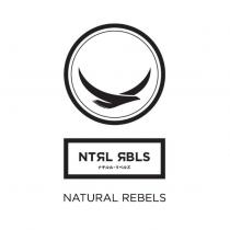 NATURAL REBELS ナチルル ̇リベルズ及圖