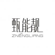 甄能靓 ZNENGLIANG