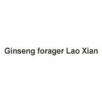 Ginseng forager Lao Xian