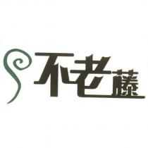 不老藤及圖
