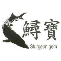 鱘寶 Sturgeon gem 及圖
