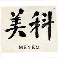 美科 MEXEM