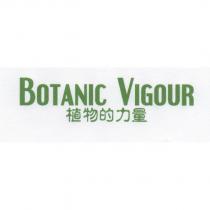 植物的力量 BOTANIC VIGOUR