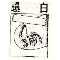 白曝及圖