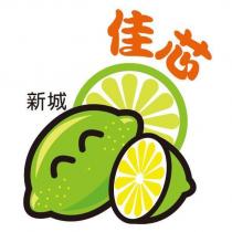 新城 佳芯及圖