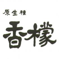 原生種香檬