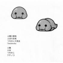 土龍大發現土龙大发现つちのこ大発見 Tsuchinoko 土龍土龙つちのこツチノコ及圖
