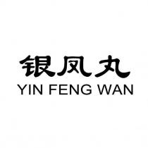 銀鳳丸YIN FENG WAN