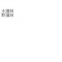 水蓮妹野蓮妹