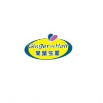 Ginger de Hair 琴葉生薑及圖