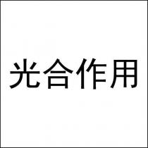 光合作用