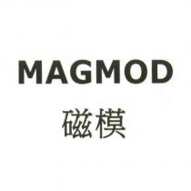 磁模 MAGMOD