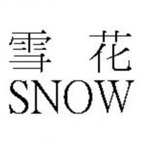 雪花 SNOW