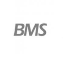 BMS