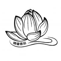 蓮花圖形