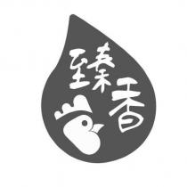 臻香及圖